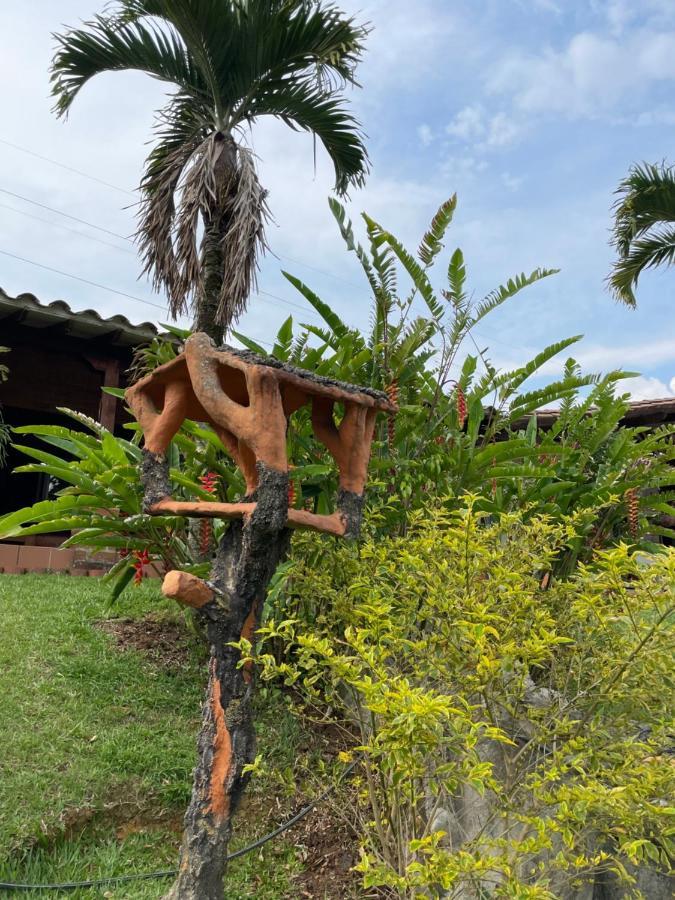 Finca Hotel Villa Camila 科帕卡瓦纳 外观 照片